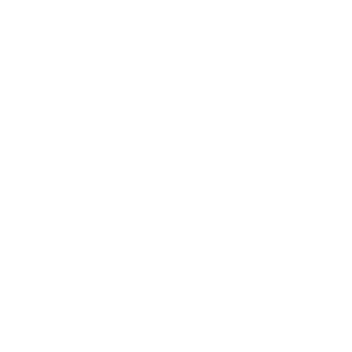 jornada-da-joia-logo-branco
